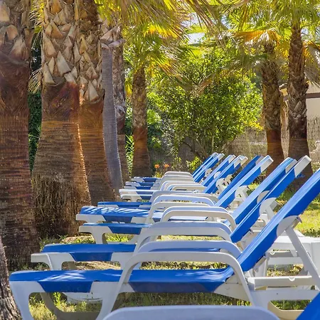 Carrio Sol - Monty's