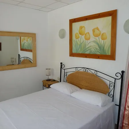 Carrio Sol - Monty's