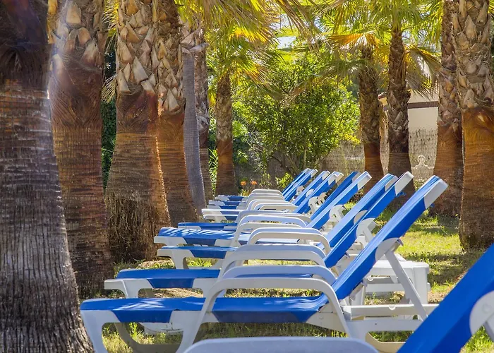 Carrio Sol - Monty's