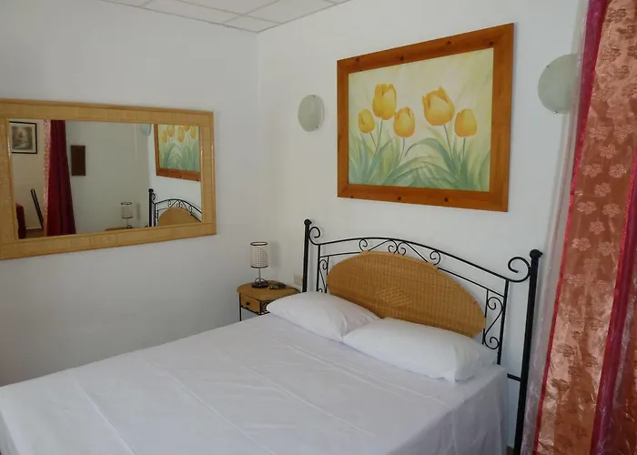 Carrio Sol - Monty's